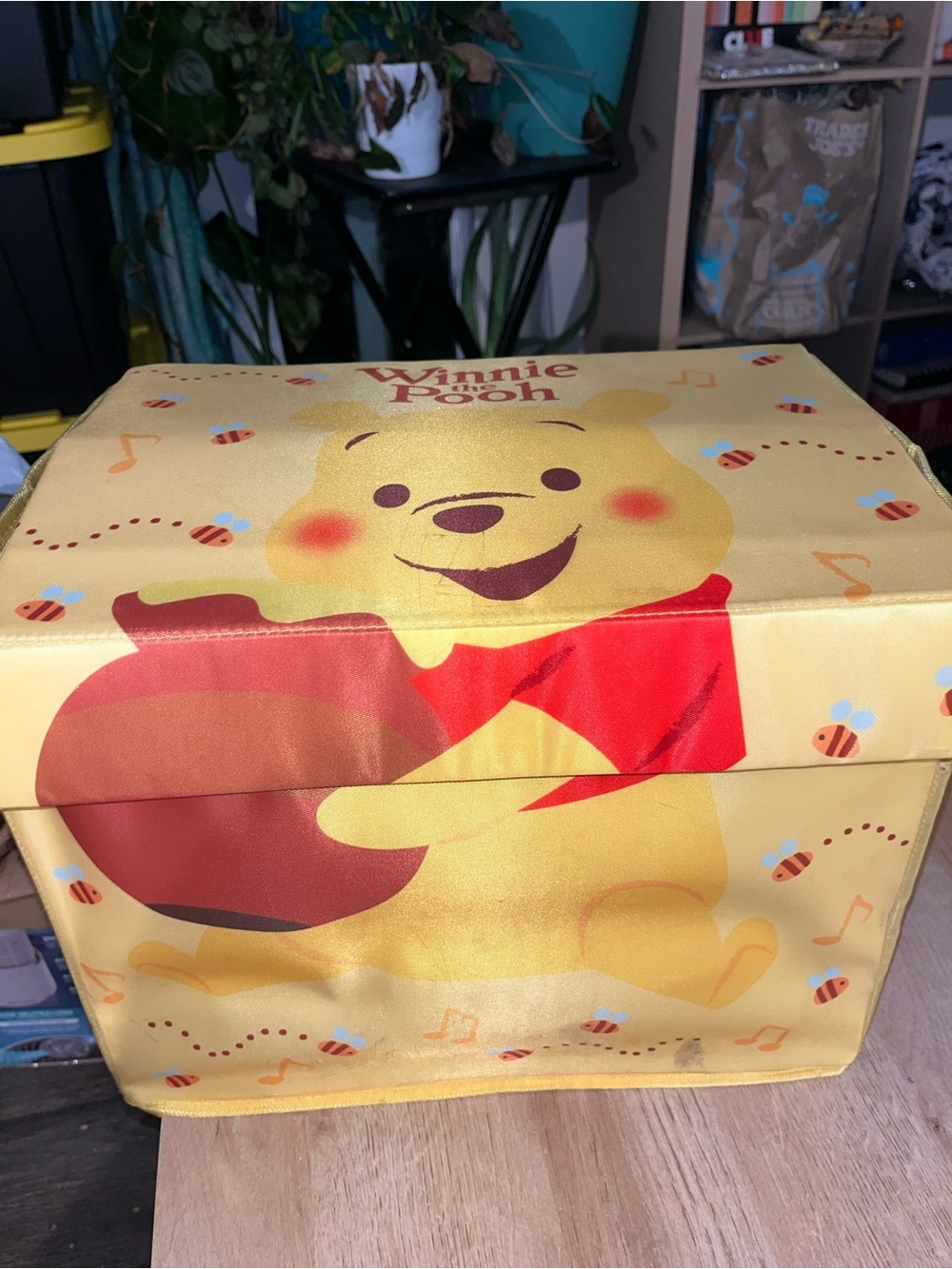 Rare Hong Kong Disneyland Winnie the Pooh Collapsible Storage Box Bin Flip Top